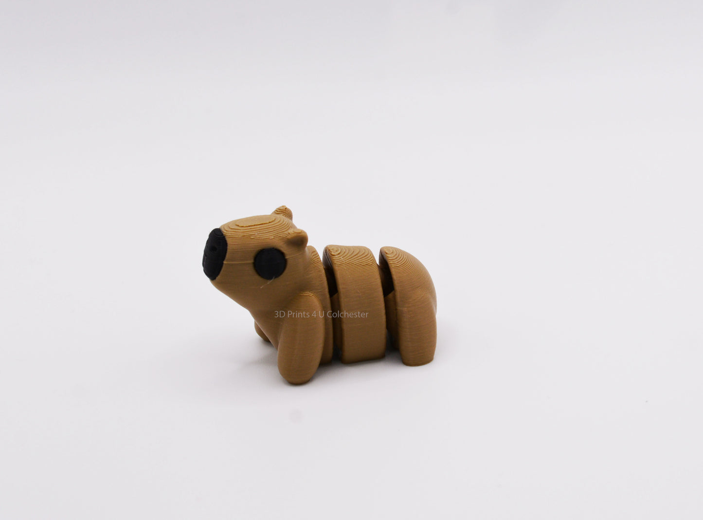 Mini Capybara