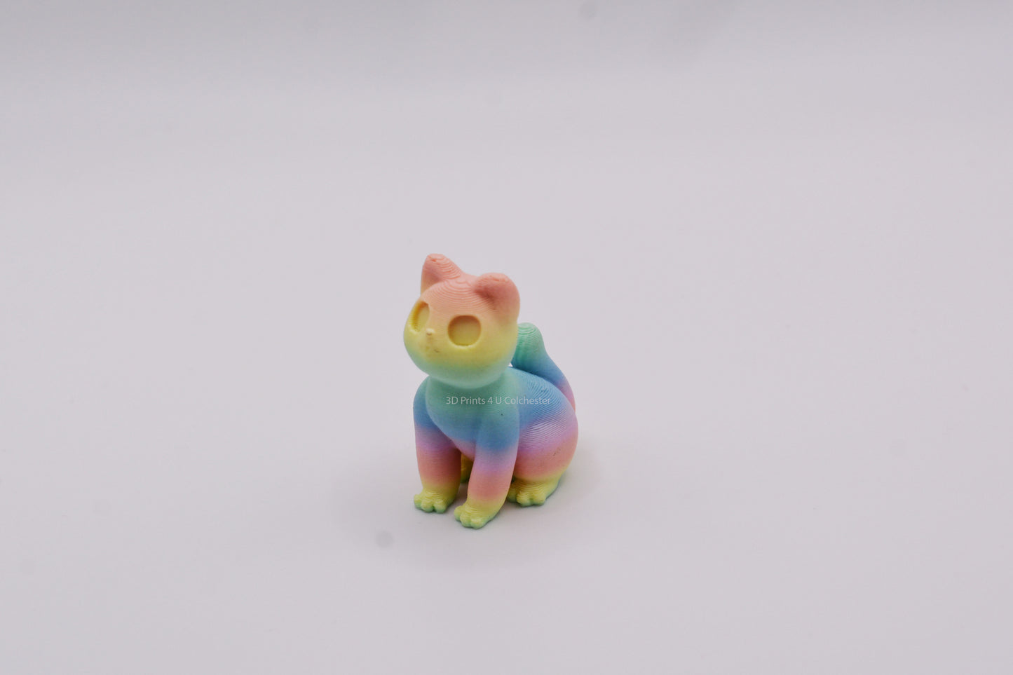 Mini Cat