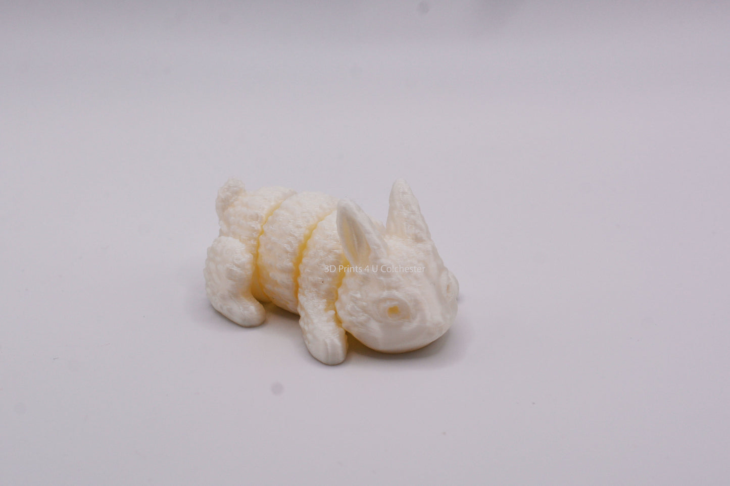 Mini Bunny